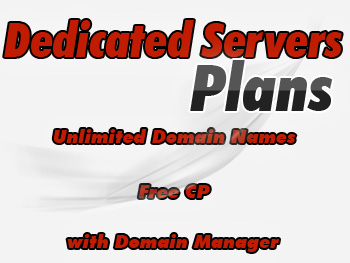 Modestly priced dedicated web hosting service